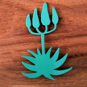 Aloe magnet on wooden table